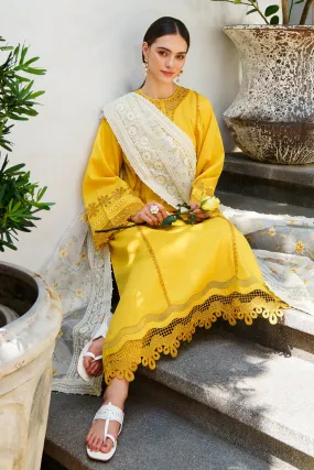 EMBROIDERED JACQUARD LAWN UF-562