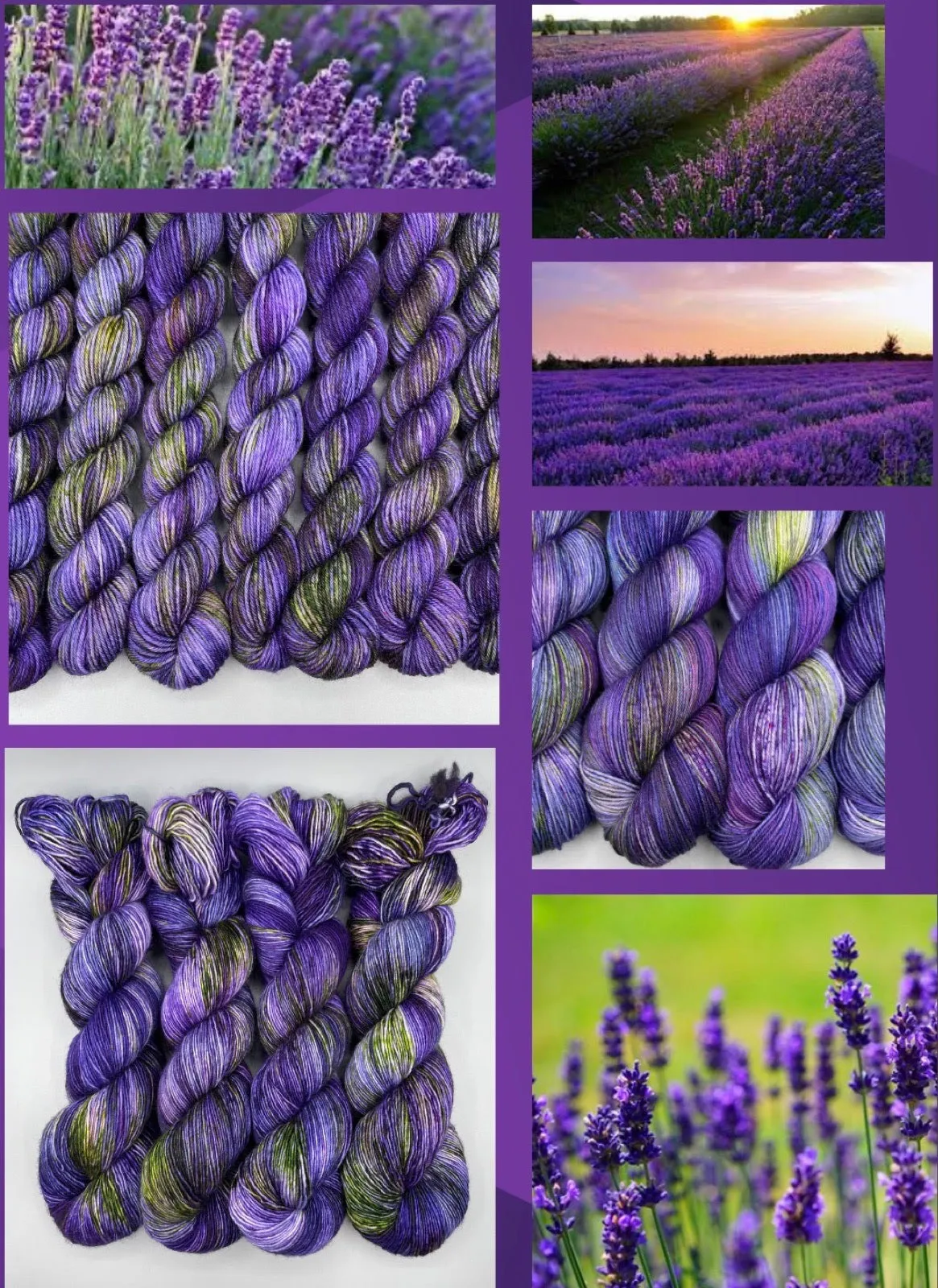 Fields of Love