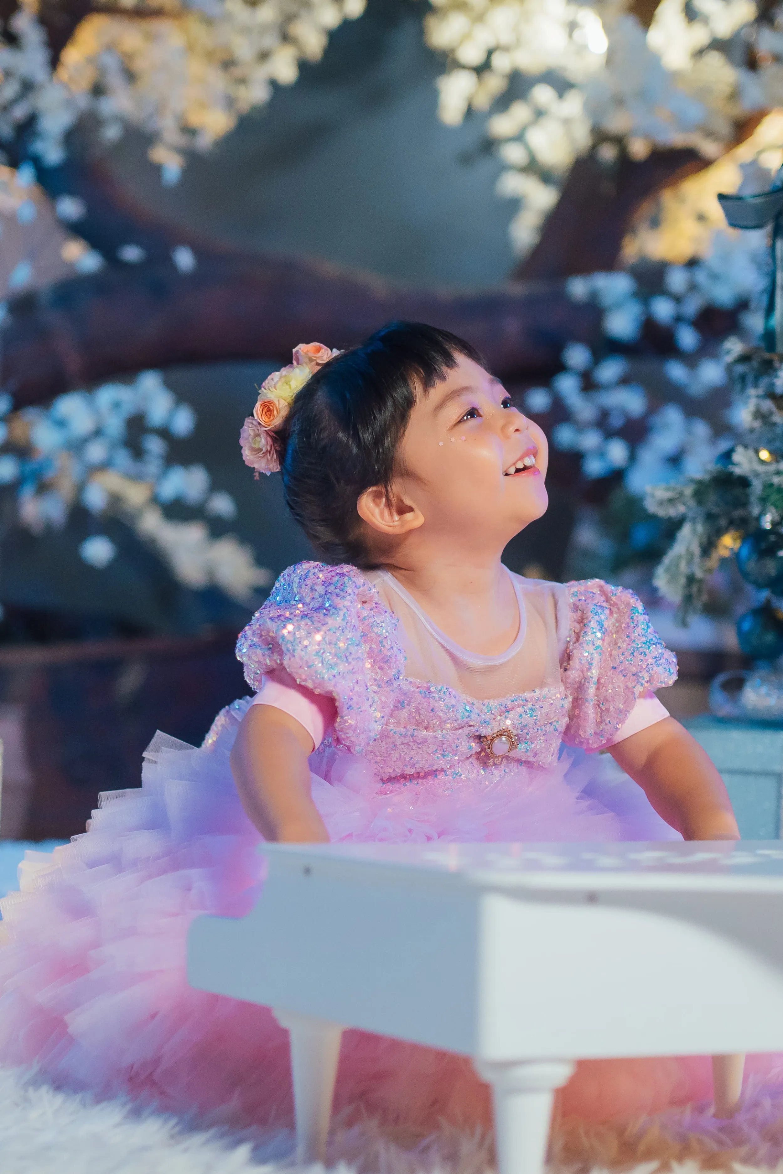 Lilac & Pink Sugar Plum Fairy Ombre Tulle Dress