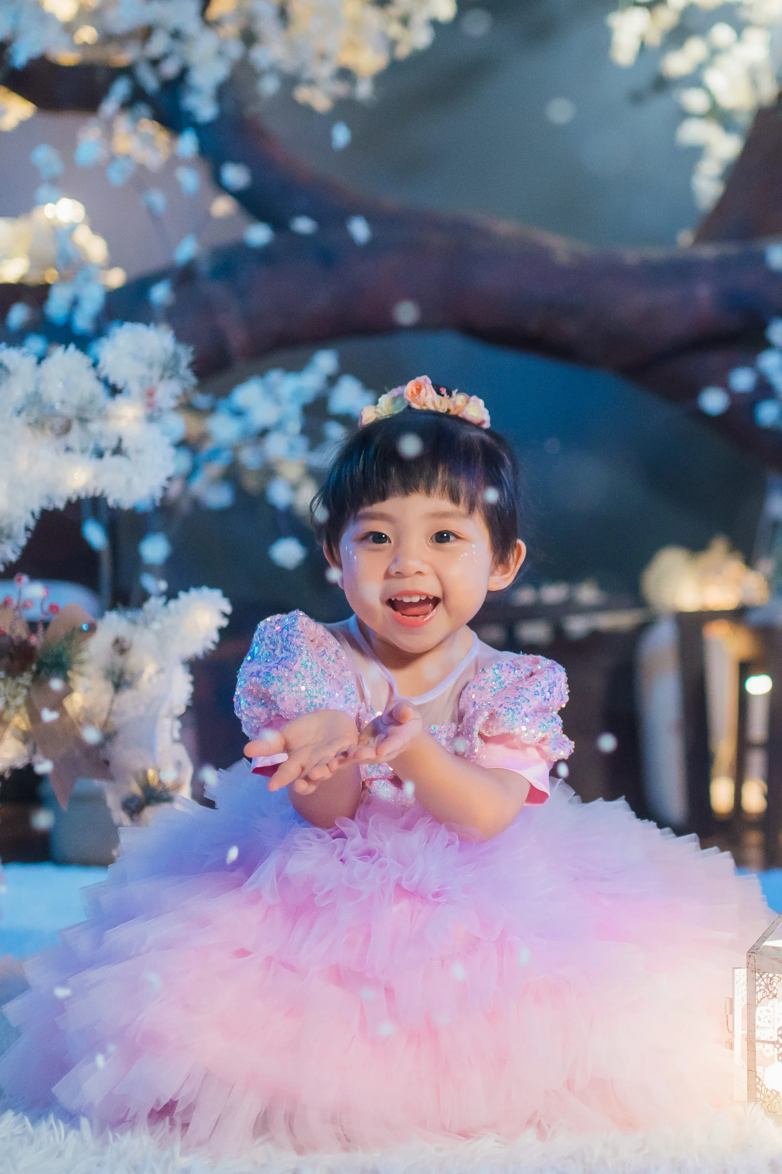 Lilac & Pink Sugar Plum Fairy Ombre Tulle Dress