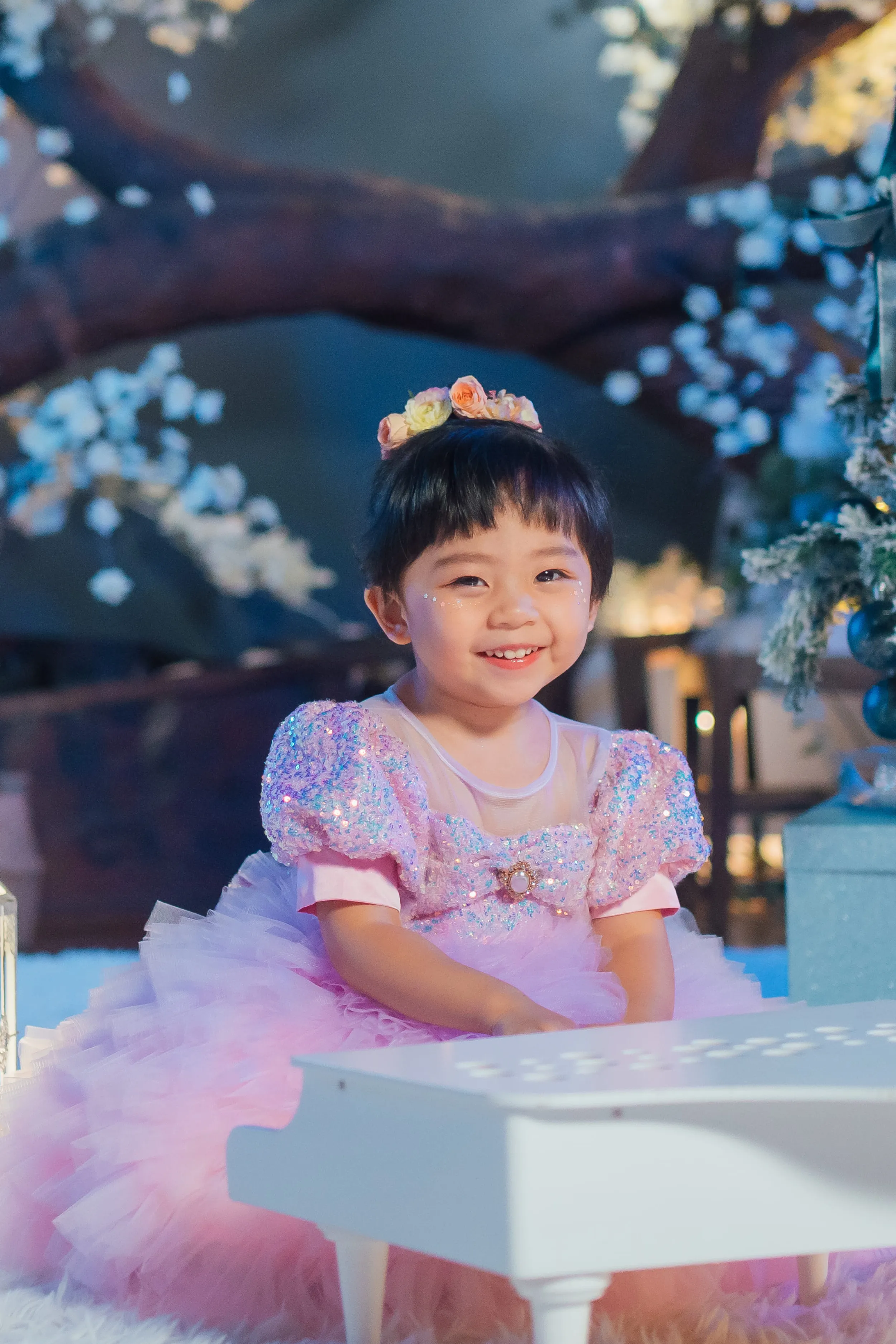 Lilac & Pink Sugar Plum Fairy Ombre Tulle Dress