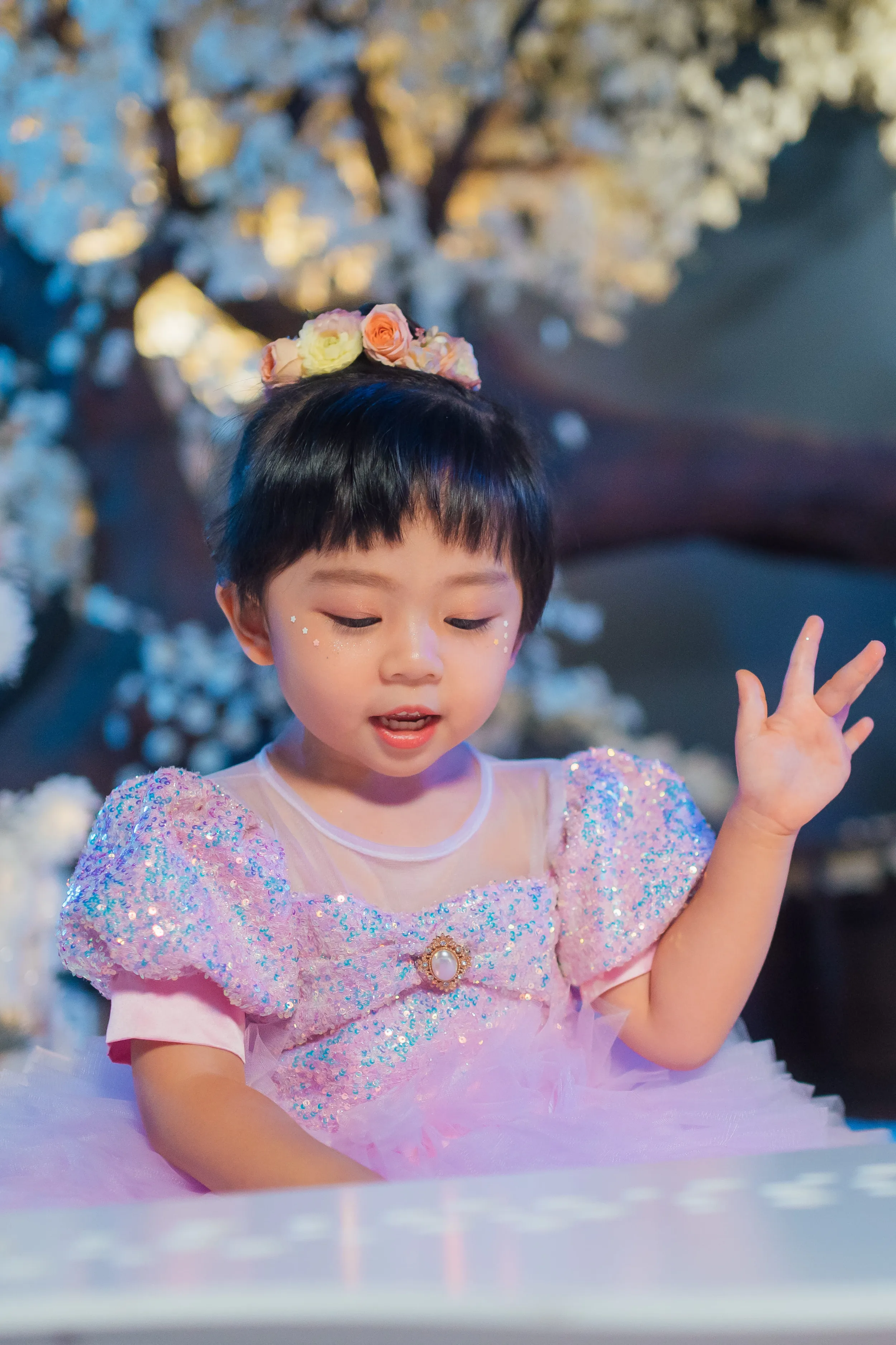 Lilac & Pink Sugar Plum Fairy Ombre Tulle Dress